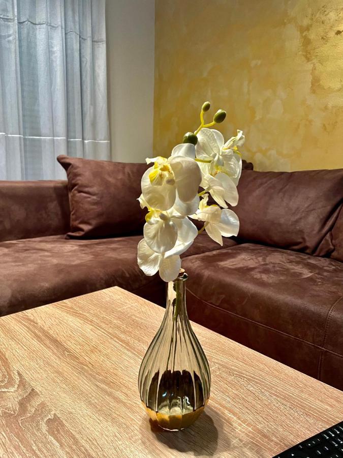 Naki Apartman Lägenhet Podgorica Exteriör bild