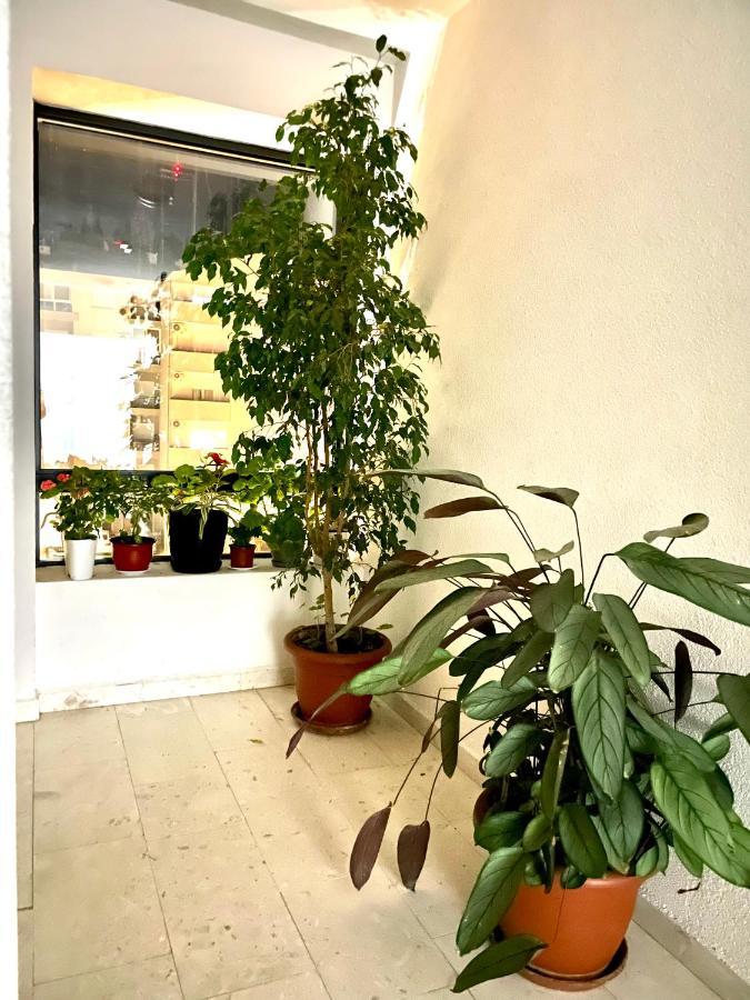 Naki Apartman Lägenhet Podgorica Exteriör bild